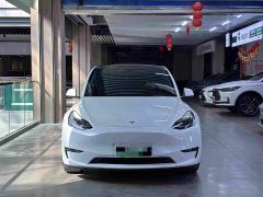 Tesla Model Y Performance All-Wheel Drive - фото 4