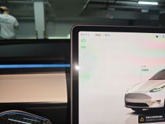 Tesla Model Y 615km Performance High-Performance AWD Version - ფოტო 12