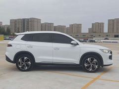 BYD Song Pro New Energy Champion Edition DM-i 110KM Excellence - фото 7