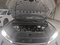 BYD Yuan UP 301KM Pilot Edition - photo 19