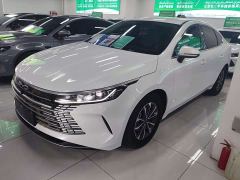 BYD Destroyer 05 Glory Edition DM-i 55KM Luxury - ფოტო 3