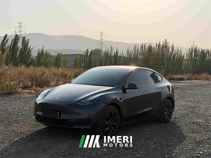 Tesla Model Y Rear-Wheel Drive - автомобиль из Китая