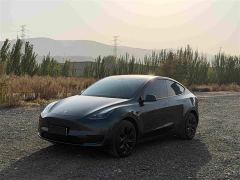 Tesla Model Y Rear-Wheel Drive - фото 1
