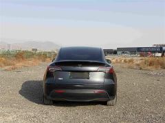 Tesla Model Y Rear-Wheel Drive - фото 5
