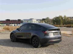 Tesla Model Y Rear-Wheel Drive - фото 6