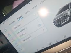 BYD Tang DM-p 1.5T 215km 4WD Flagship Edition - фото 20
