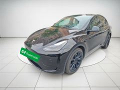Tesla Model Y 545km Rear-Wheel Drive Edition - ფოტო 1