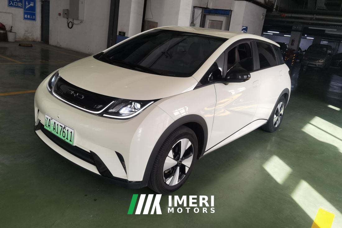 BYD Dolphin 420km Free Version - car from China