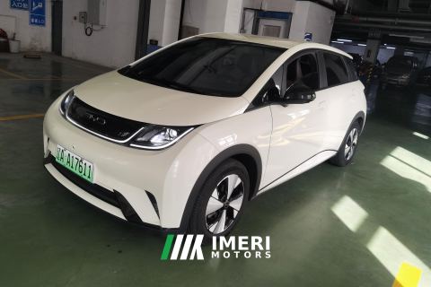 2023 BYD Dolphin 420km Free Version - автомобиль из Китая