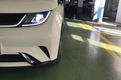 BYD Dolphin 420km Free Version - photo 2