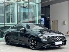 Mercedes-Benz CLS 300 Luxury - фото 3