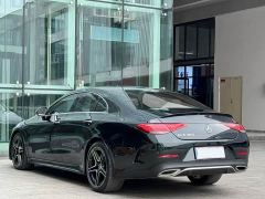 Mercedes-Benz CLS 300 Luxury - фото 9