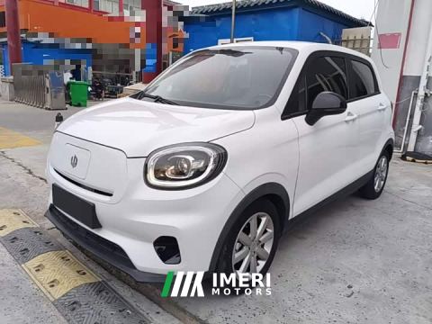 2022 Leapmotor Leapo T03 Haoyu Edition - car from China