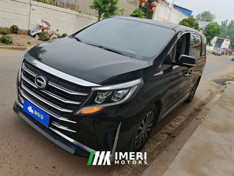 GAC Trumpchi M8 Leading show series 390T Prestige Edition 7-seater - car from China