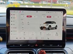 smart #1 Pro Edition - ფოტო 14