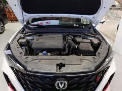 Changan Eado PLUS 1.4T Dual-Clutch High-Performance Edition - ფოტო 19