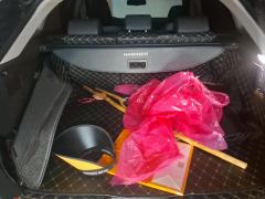Toyota Lingfang Dual-Engine 2.5L RWD Luxury Edition - photo 7