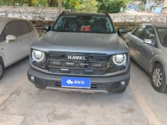 Haval Great Wall Dog 2.0T 4WD Chinese Garden Dog Edition - фото 3