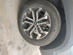 Haval Great Wall Dog 2.0T 4WD Chinese Garden Dog Edition - фото 6