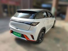 BYD Dolphin 405km Fashion Edition - photo 6