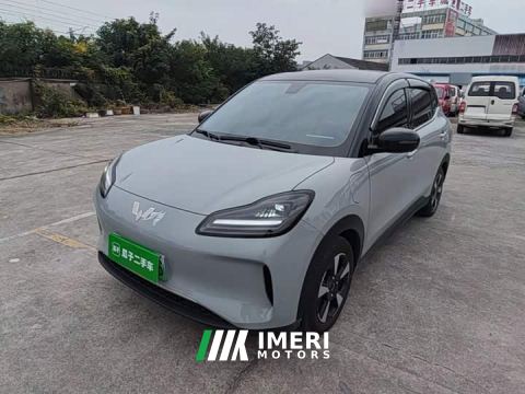 2024 Wuling Binguo PLUS 330km 5-Seater - car from China