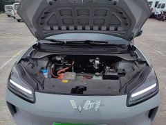 Wuling Binguo PLUS 330km 5-Seater - фото 19
