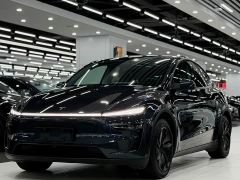 Tesla Model Y Rear-Wheel Drive - ფოტო 1