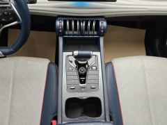 BYD Yuan PLUS 510KM Flagship - photo 19