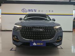 Haval H6 Guochao Edition 1.5T 2WD Urban Edition - ფოტო 3
