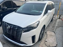 Buick GL8 ES Luxury Edition 653T Luxury Edition 7-seater - фото 1
