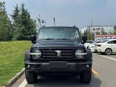 Tank 300 2.0T Conquistador Gasoline - ფოტო 1