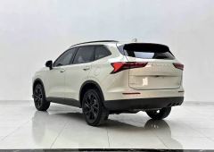 Haval H6 2.0T AWD Max - photo 5