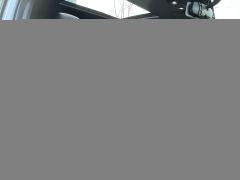 GAC AION Y 500km 70 Smart Leading Edition Ternary Lithium - ფოტო 13