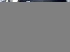 GAC AION Y 500km 70 Smart Leading Edition Ternary Lithium - ფოტო 4