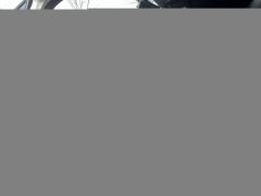 GAC AION Y 500km 70 Smart Leading Edition Ternary Lithium - ფოტო 9