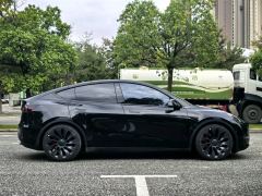 Tesla Model Y 615km Performance High-Performance AWD Version - ფოტო 12