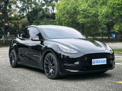 Tesla Model Y 615km Performance High-Performance AWD Version - ფოტო 3