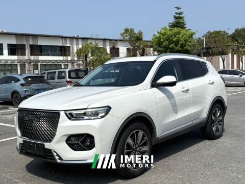 2021 Haval H6 Guochao Edition 1.5GDIT 2WD Champion Edition - ავტომობილი ჩინეთიდან