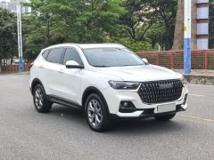 Haval H6 Guochao Edition 1.5GDIT 2WD Champion Edition - ფოტო 3