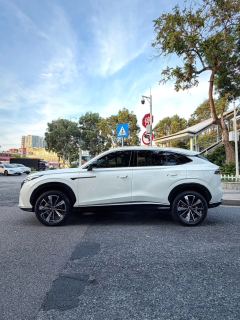 Roewe RX5 PLUS 330TGI Edition - ფოტო 8
