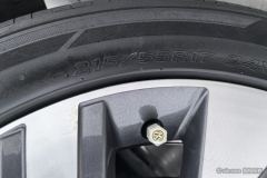 Volkswagen Magotan PHEV GTE 1.4T Luxury Edition - photo 9
