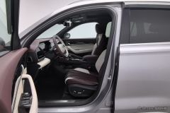 Geely Xingyue L 2.0T Dual Clutch 2WD Intelligent Venerable - фото 13