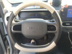 Geely Galaxy Panda mini 210km Yuanqi Bear - ფოტო 18