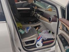 Dongfeng Fengxing Yacht 1.5T DCT Moon-Embracing Edition - ფოტო 8