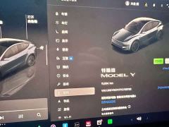 Tesla Model Y Rear-Wheel Drive - ფოტო 6