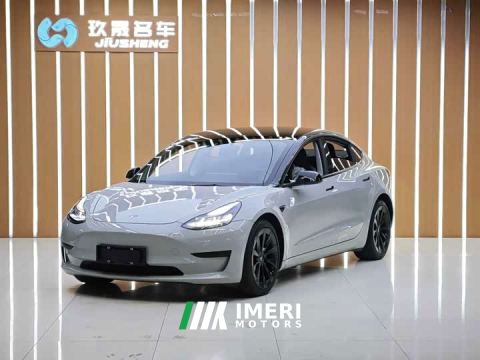 2022 Tesla Model 3 Rear-Wheel Drive - car from China