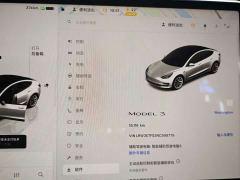 Tesla Model 3 Rear-Wheel Drive - ფოტო 14