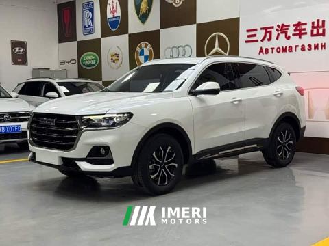 2022 Haval H6 National Trend Edition 1.5T Automatic Urban Version - ავტომობილი ჩინეთიდან