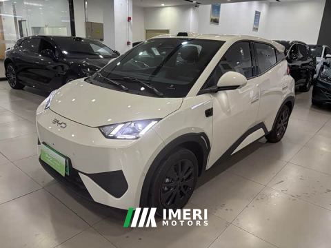 2026 BYD Seagull 305km Freedom Edition - ავტომობილი ჩინეთიდან