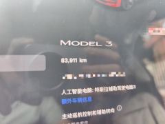 Tesla Model 3 556km Rear-Wheel Drive Edition - photo 13
